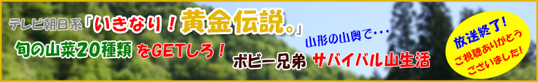 いきなり黄金伝説