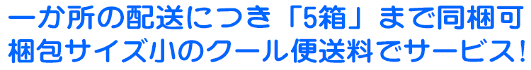 一梱包あたり小サイズのクール便送料