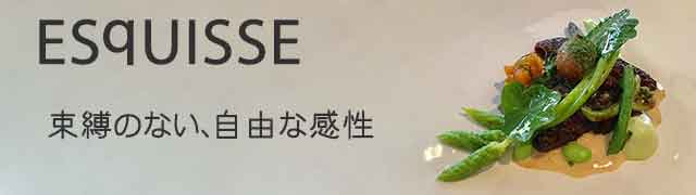 ESqUISSE
