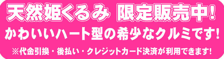 天然姫くるみ 限定販売