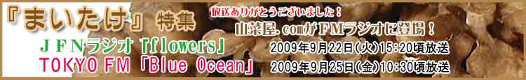 山菜屋.comがFMラジオに登場