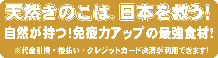 天然舞茸 山形の天然山菜専門卸問屋から産直通販 山菜屋 Com