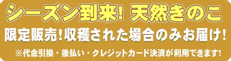 天然きのこ 限定販売