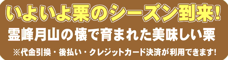 栗のシーズン到来