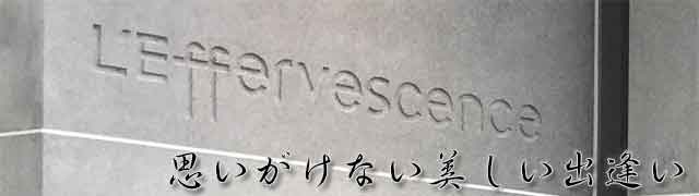 レフェルベソンス