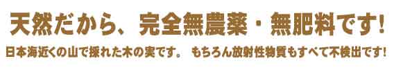 天然だから、完全無農薬・無肥料です！