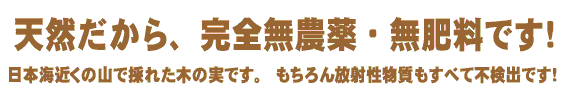 栗虫 通販 リスが大喜びする様子にびっくり 山菜屋 Com