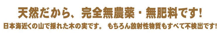 天然だから、完全無農薬・無肥料です