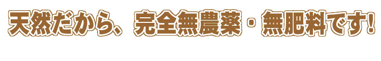 天然だから、完全無農薬・無肥料です