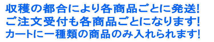 ご注文は一種類ずつお願いいたします