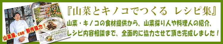 天然なめこ 山形の天然山菜専門卸問屋から産直通販｜山菜屋.com