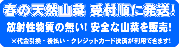 放射性物質のない 安全な天然山菜を販売