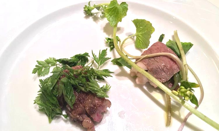 赤みず料理方法 山菜スペシャリストが教える山菜料理レシピ 山菜屋 Com