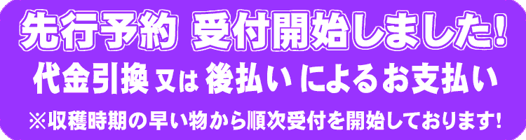 赤みずという山菜の驚きの事実発見 山菜屋 Com 赤みずという山菜の驚きの事実発見 山菜屋 Com