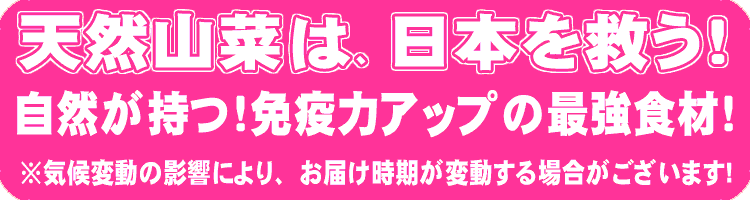 あいこは葉物山菜の代表格 お子様にも人気の山菜 山菜屋 Com