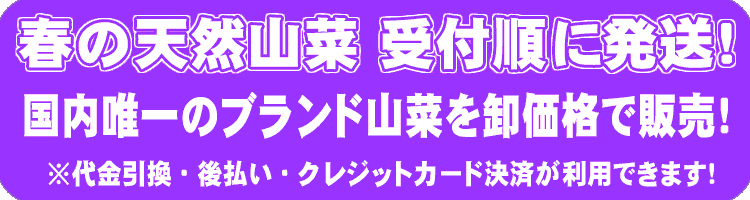 天然山菜ブランド品を卸価格で販売