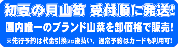 初夏の月山筍 ブランド山菜