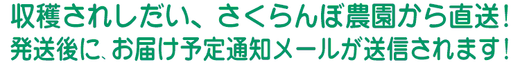お届け予定通知