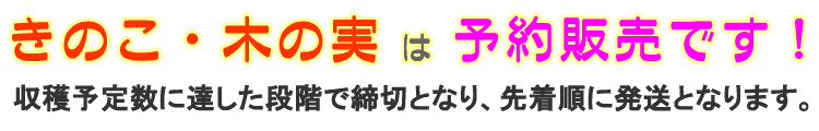 きのこ・木の実は予約販売です