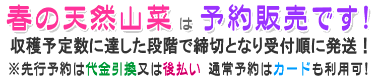 あいこは葉物山菜の代表格 お子様にも人気の山菜 山菜屋 Com