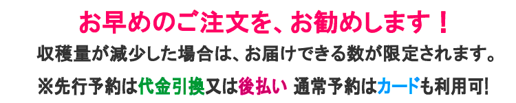 お早めのご注文をお勧めします