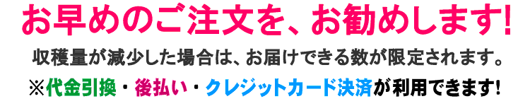 お早めのご注文をお勧めします