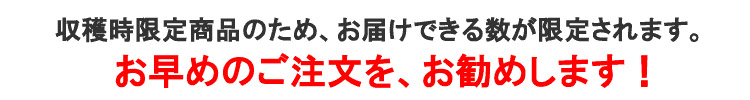 お早めのご注文をお勧めします