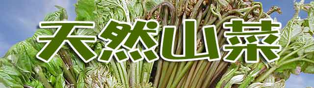 天然山菜