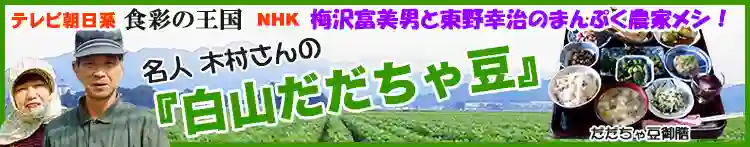 テレビ出演回数No.1