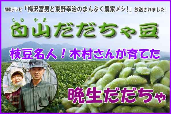 木村さんのだだちゃ豆 『晩生だだちゃ 1.8Kg』 木村さんの晩生だだちゃ豆 1.8Kg