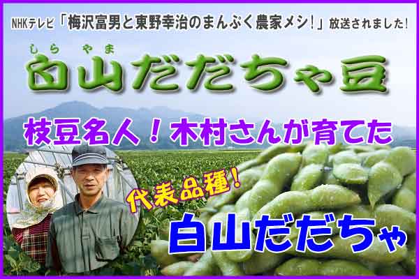 木村さんのだだちゃ豆 『白山だだちゃ 1.8Kg』 木村さんの白山だだちゃ豆 1.8Kg