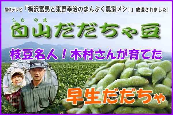 木村さんのだだちゃ豆 『早生だだちゃ 1.8Kg』 木村さんの早生だだちゃ豆 1.8Kg