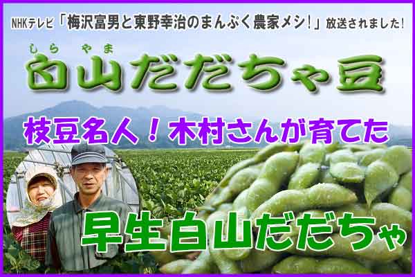木村さんのだだちゃ豆 『早生白山だだちゃ 1.8Kg』 木村さんの早生白山だだちゃ豆 1.8Kg