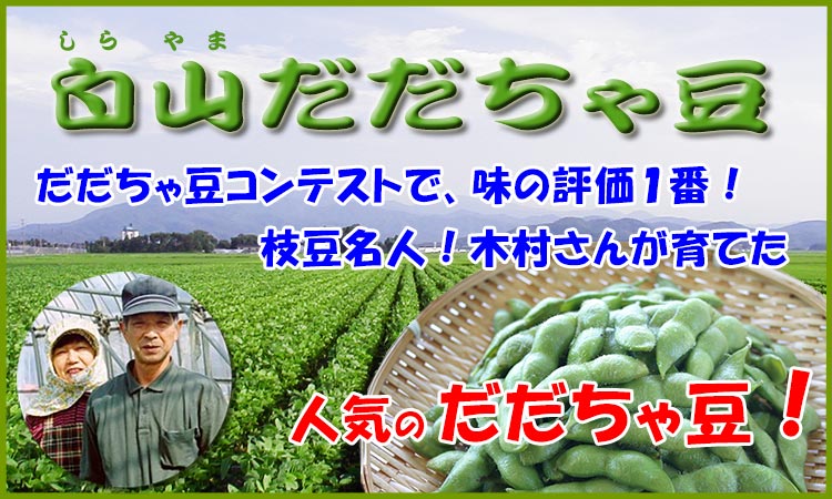 人気の枝豆 木村さんの白山だだちゃ豆
