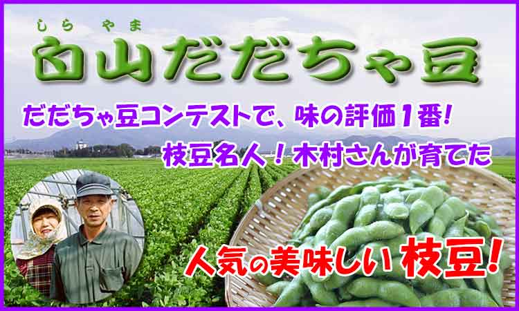 人気の枝豆 木村さんの白山だだちゃ豆