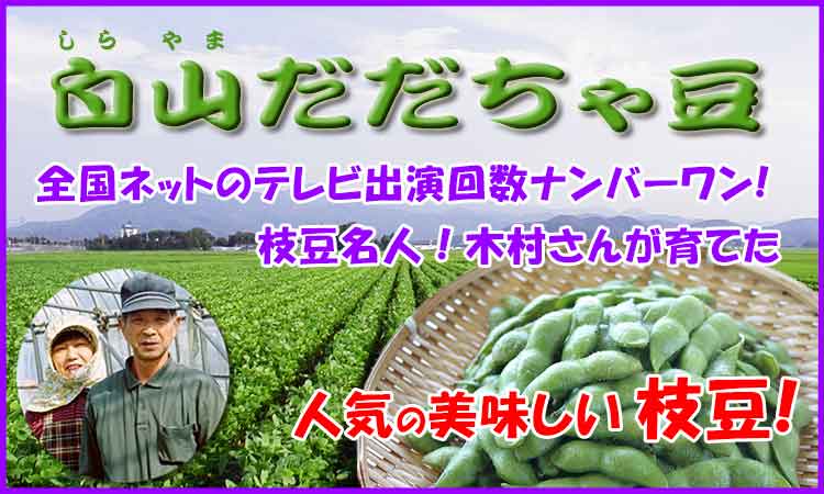 人気の枝豆　木村さんの白山だだちゃ豆