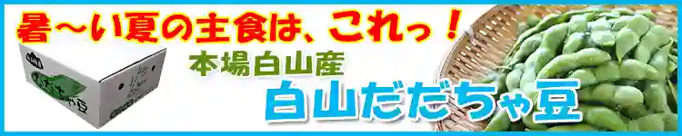 暑い夏の主食はこれ