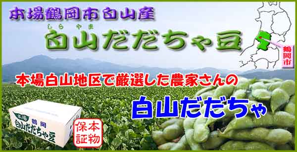 本場白山産 白山だだちゃ豆 1Kg 本場白山産 白山だだちゃ豆 1Kg
