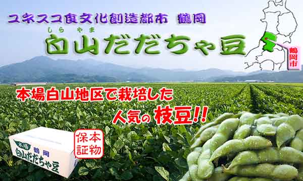 本場白山産 白山だだちゃ豆 1Kg 本場白山産 白山だだちゃ豆 1Kg