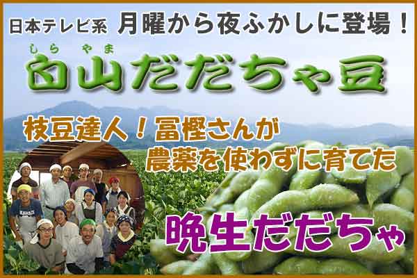 冨樫さんのだだちゃ豆 『晩生だだちゃ 1.8Kg』 冨樫さんの晩生だだちゃ豆 1.8Kg