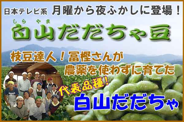 冨樫さんのだだちゃ豆 『白山だだちゃ 1.8Kg』 冨樫さんの白山だだちゃ豆 1.8Kg