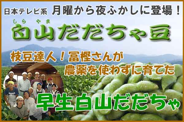 冨樫さんのだだちゃ豆 『早生白山だだちゃ 1.8Kg』 冨樫さんの早生白山だだちゃ豆 1.8Kg