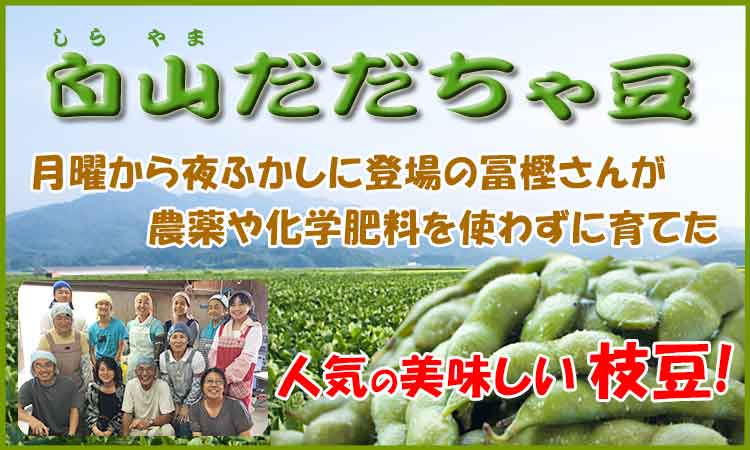 人気の枝豆 冨樫さんの白山だだちゃ豆