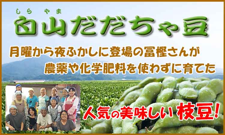 人気の枝豆　冨樫さんの白山だだちゃ豆