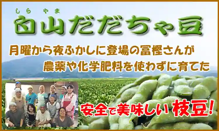 月曜から夜ふかしに登場！冨樫さんの白山だだちゃ豆