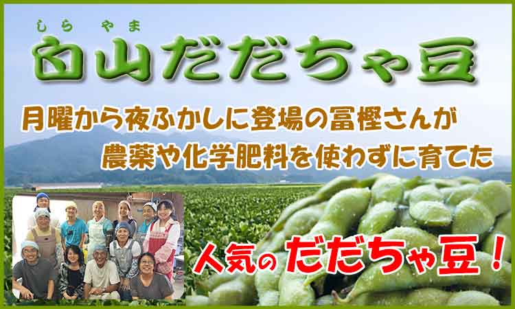 人気の枝豆 冨樫さんの白山だだちゃ豆