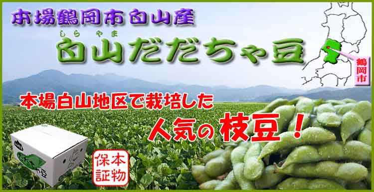 本場白山産 白山だだちゃ豆