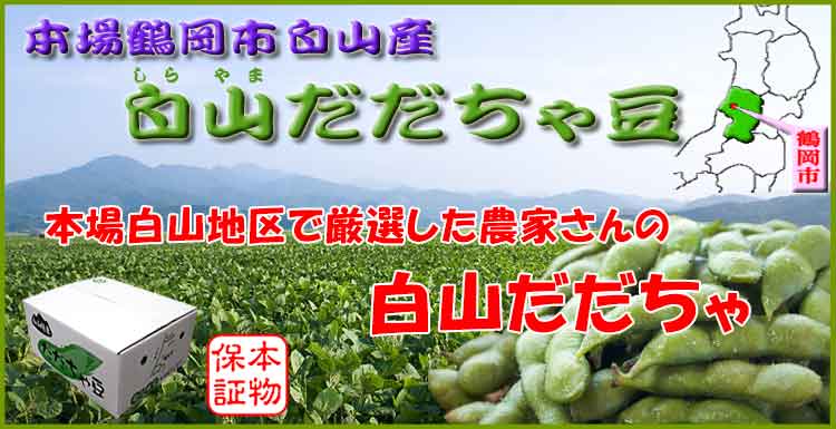 本場白山産 白山だだちゃ豆