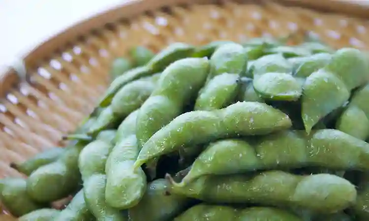 だだちゃ豆