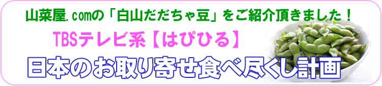 TBSテレビ系　はぴひる
